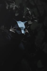 Cute 3D Low Poly Cat Mask Wallpaper