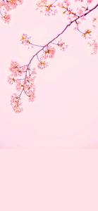 Cute Aesthetic background cute aesthetic wallpaper