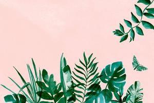 Cute Aesthetic Green Plants cute aesthetic wallpaper