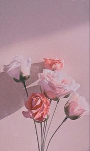 Cute Aesthetic pictures cute aesthetic wallpaper
