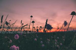 Cute Aesthetic pictures cute aesthetic wallpaper