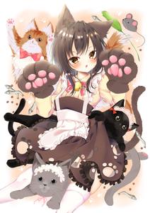 Cute Anime Girl With Cats cute anime wallpaper