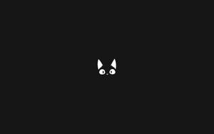Cute Black and White Cat Glazing black and white pfp wallpaper