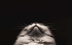 Cute Black background cute black wallpaper