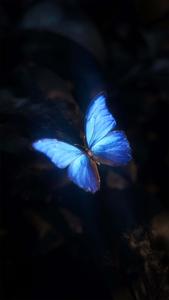 Cute Black background cute black wallpaper