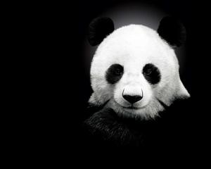 Cute Black background cute black wallpaper