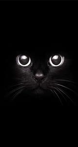 Cute Black background cute black wallpaper