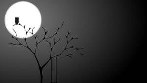 Cute Black Owl On Tree cute black wallpaper