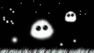 Cute Black White Fur cute black wallpaper