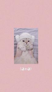 Cute Cat Aesthetic Lamb Head Towel cute cat aesthetic wallpaper