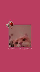 Cute Cat Aesthetic Silent But Lethal cute cat aesthetic wallpaper