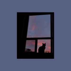 Cute Cat Aesthetic Window View cute cat aesthetic wallpaper