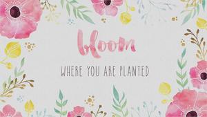 Cute Girly Bloom cute girly wallpaper
