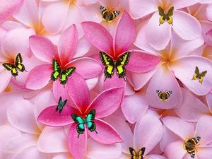 Cute Girly Flowers And Butterflies cute girly wallpaper