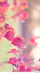 Cute Girly Lock Screen Iphone girly lock screen iphone wallpaper
