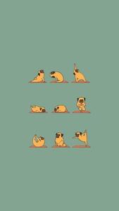 Cute Pug Yoga Funny Phone funny phone wallpaper