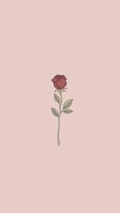 Cute Rose Aesthetic Phone cute aesthetic phone wallpaper