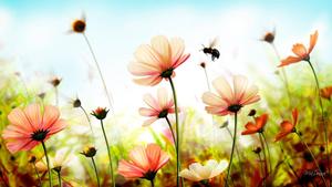 Cute Summer Pink Flowers cute summer wallpaper