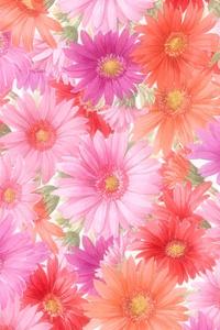 Daisies For Girl Phone Theme girl phone wallpaper