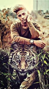 Danish Zehen HD Tiger danish zehen hd wallpaper