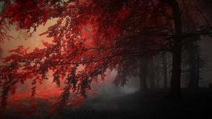 Dark Aesthetic Autumn Park Picture dark aesthetic wallpaper
