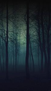 Dark Green Forest Phone phone wallpaper