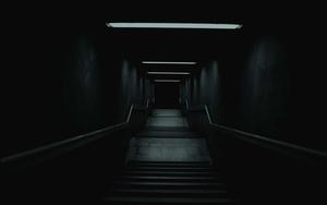 dark hallway with stairs leading to a dark room dark wallpaper