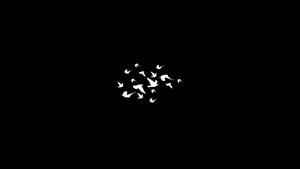Dark Laptop Birds Compressed In The Center dark laptop wallpaper
