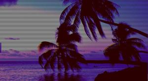 Dark Palm Trees Aesthetic aesthetic wallpaper