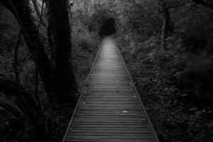 Dark Pathway Picture dark wallpaper