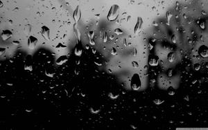 Dark Rain Droplets dark wallpaper