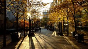 Desktop 4K Street Sunset Photography desktop 4k wallpaper