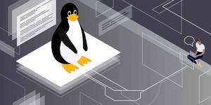 Develop With Freedom – Linux linux wallpaper