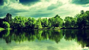 Discover Peace and Serenity in Nature 1080p wallpaper