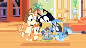 Discover the world with Bluey bluey wallpaper