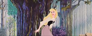 Disney Princess Aurora Hiding disney princess wallpaper