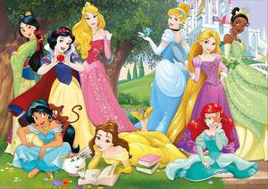 Disney Princess pictures disney princess wallpaper