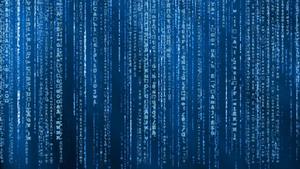 Dive into The Matrix matrix wallpaper