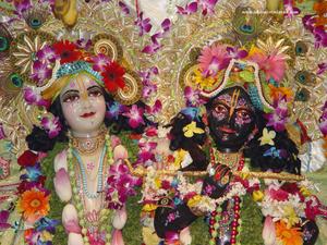 Divine Depiction of Krishna and Balarama iskcon wallpaper