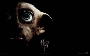 Dobby the House Elf harry potter wallpaper