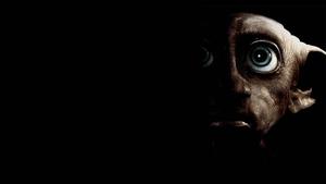 Dobby the House elf celebrates his freedom in the Harry Potter universe harry potter wallpaper