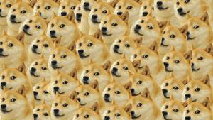 Doge Expressions Galore! meme wallpaper