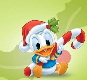 Donald Duck 4K Cartoon 4k cartoon wallpaper