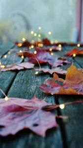 Don't miss the autumn beauty this year! fall iphone wallpaper