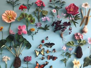 Dried Flowers Flat Lay Picture flower wallpaper