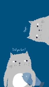 Dubious Cats Funny Meme funny meme wallpaper