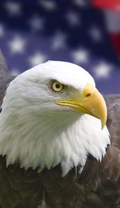 Eagle With Flag Iphone eagle iphone wallpaper