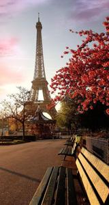 Eiffel Tower Fall IPhone fall iphone wallpaper