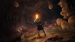 Elden Ring Groveside Cave elden ring wallpaper