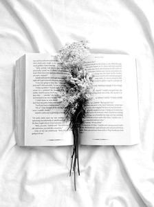 Elegant White Aesthetic white aesthetic wallpaper